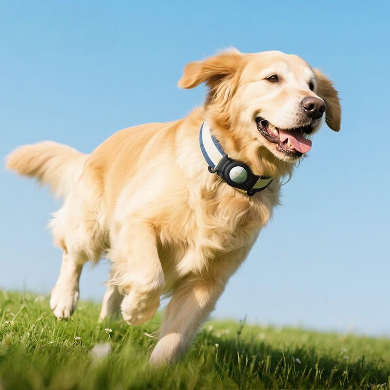 Hoco. E91C Localizador Inteligente para Mascotas y Objetos con Red Apple Find My